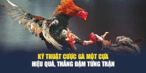 Kỹ Thuật Cược Gà Một Cựa Hiệu Quả, Thắng Đậm Từng Trận