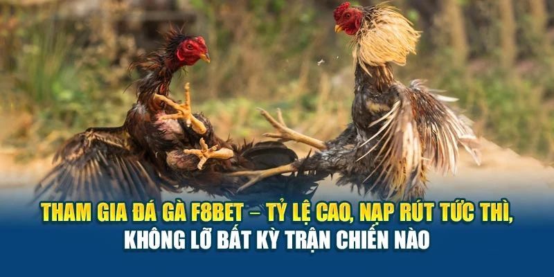 Tham gia đá gà F8BET – tỷ lệ cao, nạp rút tức thì, không lỡ bất kỳ trận chiến nào
